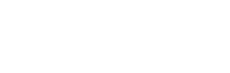 Citadel Group Logo